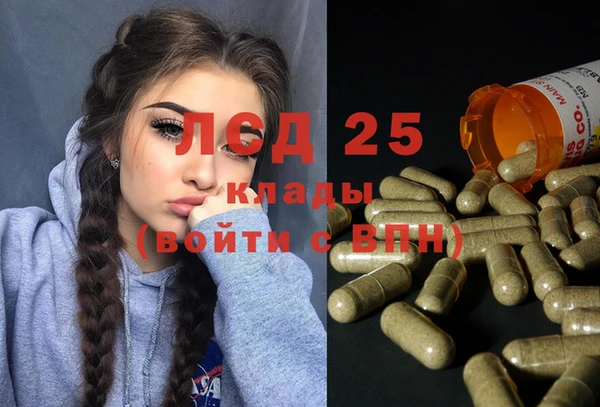 прущие крисы Каменка