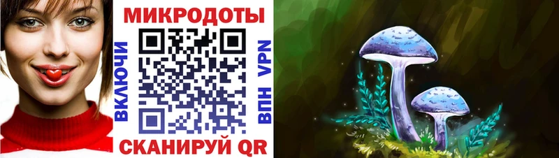 Псилоцибиновые грибы Magic Shrooms  Купить закладки  Западная Двина 