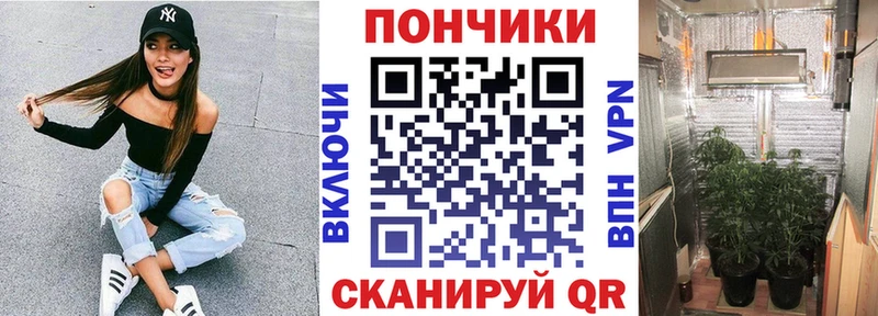 Бошки Шишки план  Купить где  Западная Двина 